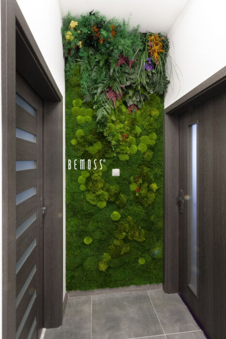 Mur végétal – projet pour une résidence