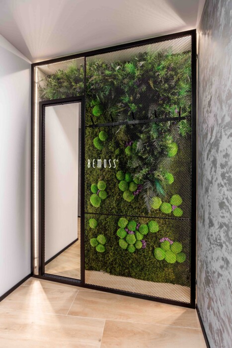 Mur végétal – projet pour une résidence
