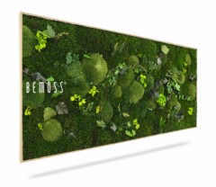 Une œuvre d'art murale rectangulaire présentant une variété de mousses vertes vibrantes et de petites plantes. Les plantes et la mousse sont disposées selon un motif artistique et naturel, créant un aspect luxuriant et texturé. Le mot "BEMOSS" est affiché sur le côté gauche de ce magnifique Tableau de mousse PLANTES Mesia.