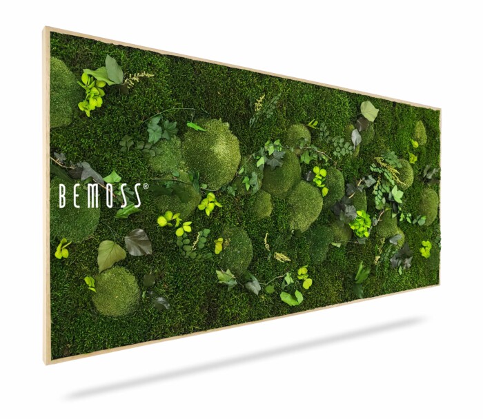 Une œuvre d'art murale rectangulaire présentant une variété de mousses vertes vibrantes et de petites plantes. Les plantes et la mousse sont disposées selon un motif artistique et naturel, créant un aspect luxuriant et texturé. Le mot 