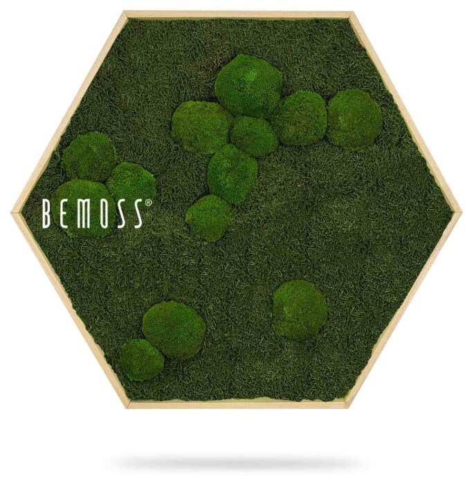 Hexagone de mousse BEMOSS® MIMI avec différentes nuances et textures de mousse verte disposées esthétiquement à l'intérieur d'un cadre en bois, comportant le texte 