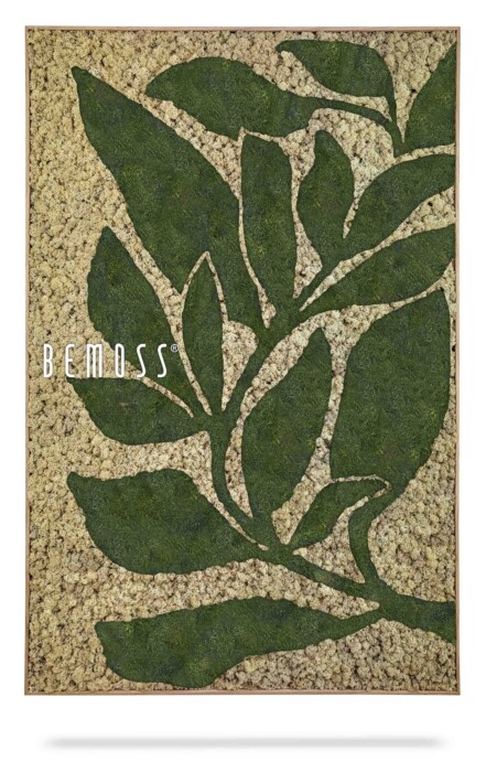 Un panneau décoratif rectangulaire présentant un motif de feuilles créé avec des textures végétales vertes et beiges. Les mots « Earth Rochoso » sont affichés bien en évidence sur le côté gauche du dessin, mettant en valeur son tableau de mousse unique. Le panneau a un cadre en bois élégant.