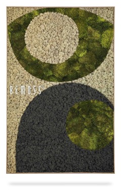 Une œuvre d'art rectangulaire présentant un design abstrait avec des textures de mousse verte, grise et beige. Les formes circulaires supérieure et inférieure créent un motif contrasté. Le mot « Earth Jerte » apparaît en texte blanc sur le côté gauche de la pièce, évoquant l'élégance naturelle des murs en mousse.