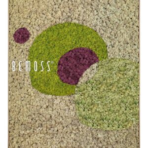 obrázok zelenofialového predmetu s nápisom bemos bielym písmom na béžovom pozadí machovy obraz, stabilizovany mach, machová stena, machová dekorácia