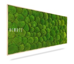 Un panneau mural rectangulaire recouvert de mousse verte ronde et texturée, disposé selon un motif qui crée une apparence luxuriante et naturelle. Le mot « Tableau de mousse BEMOSS® ORTHO FOREST » est imprimé en blanc sur le côté gauche du panneau. Le cadre a une finition en bois clair, créant un élégant tableau de mousse.