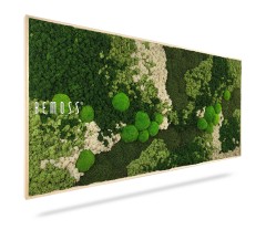 Une œuvre d'art murale rectangulaire en mousse verte de BEMOSS présentant des nuances contrastées de vert et des taches de blanc. Le design comprend diverses textures et formes de mousse, créant une apparence naturelle, luxuriante et vibrante. Cet exquis Tableau de mousse BEMOSS® ORTHO FOREST apporte la beauté de la nature à l'intérieur.