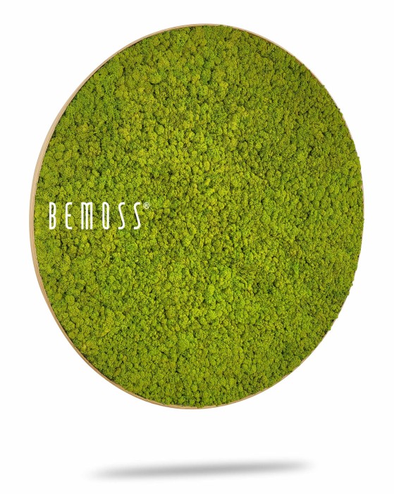Une décoration murale circulaire en mousse verte avec le texte « BEMOSS » sur le côté gauche. La texture dense de la mousse crée un aspect vibrant et naturel. Ce tableau de mousse rond en mousse de RENNE mono semble flotter au-dessus d'une ombre, lui donnant un effet tridimensionnel sur un fond blanc.