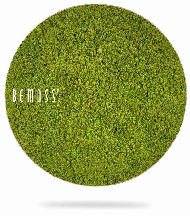 Une œuvre d'art murale circulaire en mousse verte vibrante avec le nom de la marque « BEMOSS » imprimé en texte blanc sur le côté gauche. La mousse luxuriante et épaisse remplit tout le cadre circulaire, créant un superbe Tableau de mousse rond en mousse de RENNE mono. L’image a un fond blanc et épuré.