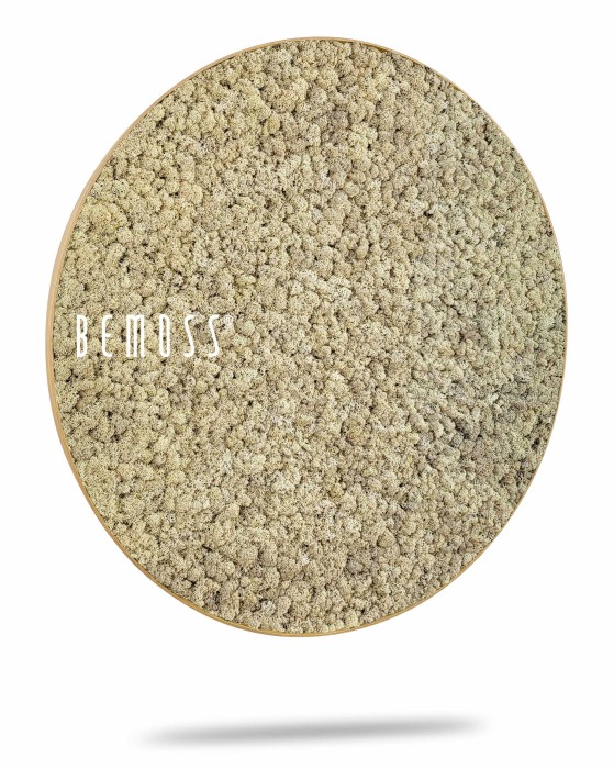 Un tapis circulaire avec une surface beige texturée. Le tapis, étiqueté « Tableau de mousse rond en mousse de RENNE mono », semble avoir un matériau doux et moelleux et est présenté sur un fond blanc avec une ombre en dessous, lui donnant un aspect légèrement surélevé.