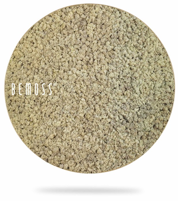 Vue aérienne d'une surface texturée de couleur beige avec un aspect granuleux. Le mot « Tableau de mousse rond en mousse de RENNE mono » est écrit en lettres majuscules blanches sur le côté gauche de l'image. L'image a une forme ovale avec une légère ombre en dessous, ressemblant à un tableau de mousse.