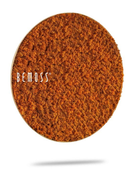 Un Tableau de mousse rond en mousse de RENNE mono rond orange à texture grossière, comportant le mot « BEMOSS » imprimé sur son côté gauche. Photographié sur un fond blanc avec une ombre subtile en dessous, il apparaît légèrement surélevé.