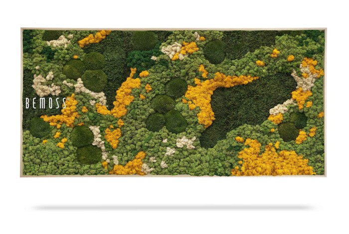 Une œuvre d'art murale rectangulaire présentant un mélange de mousse verte, blanche et jaune disposée selon un motif abstrait. Le mot « Tableau de mousse BEMOSS® ORTHO PINK » est affiché sur le côté gauche de l'œuvre. Le cadre est en bois clair.