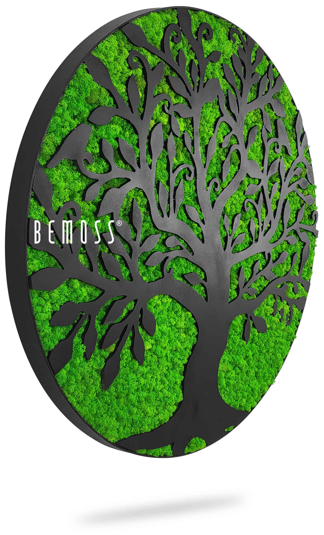 Tableau Arbre De Vie Decoration Murale Décoration Murale En Mousse 40 Cm En Forme D'arbre – Beau Mur – Donnez Vie à Votre Maison – Décoration Murale En Matières Premières Naturelles Et Tableau Arbre De Vie Decoration Murale Décoration Murale En Mousse 40 Cm En Forme D'arbre – Beau Mur – Donnez Vie à Votre Maison – Décoration Murale En Matières Premières Naturelles Et
