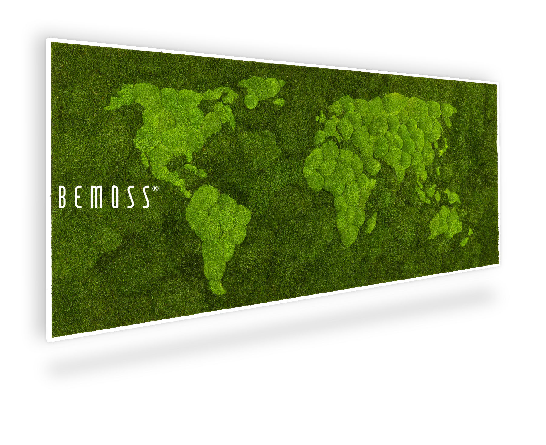 Tableau de mousse Mappemonde FLATMOSS & BOLMOSS