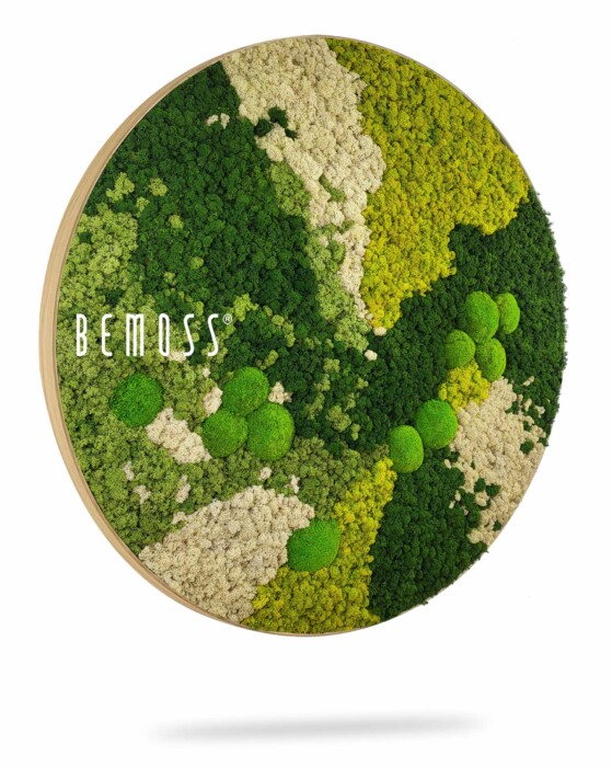 Une œuvre d'art murale ronde présentant une belle mosaïque de mousse préservée dans différentes nuances de vert, beige et marron. Le mot « BEMOSS » est visible sur le côté gauche de l’œuvre. Ce Tableau de mousse rond BEMOSS® ORTHO ICE a un aspect naturel et texturé avec différents motifs et monticules de mousse.