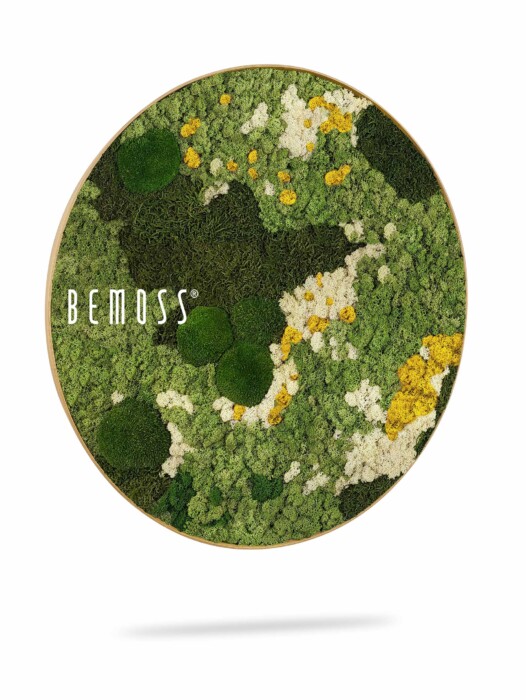 Une œuvre d'art murale circulaire présentant de la mousse et de la verdure préservées dans diverses nuances de vert, de jaune et de blanc. L’agencement crée un aspect texturé et naturel. Le nom de la marque « BEMOSS » est affiché sur le côté gauche de la pièce, illustrant la beauté du Tableau de mousse rond BEMOSS® ORTHO ICE.