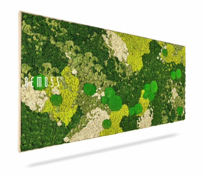 Une œuvre d'art murale rectangulaire en mousse avec diverses nuances de vert et des taches de mousse beige disposées selon un motif abstrait. Le mot « BEMOSS » apparaît en texte blanc sur le côté gauche de la pièce. Le Tableau de mousse BEMOSS® ORTHO SPRING se monte avec élégance sur un cadre en bois de couleur claire.