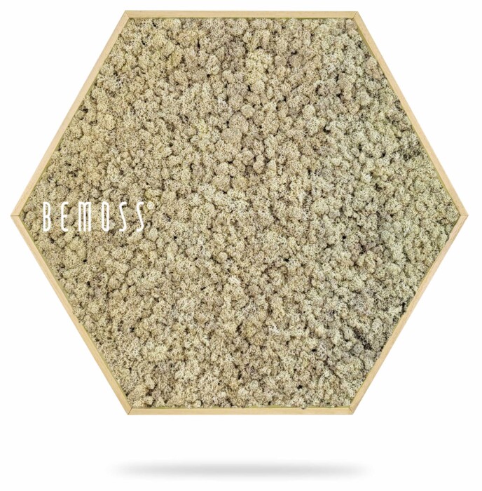 Un cadre hexagonal en bois rempli de mousse beige clair, créant un superbe tableau de mousse. Le mot « BEMOSS » est placé près du bord gauche de l’hexagone, sur un fond blanc éclatant.