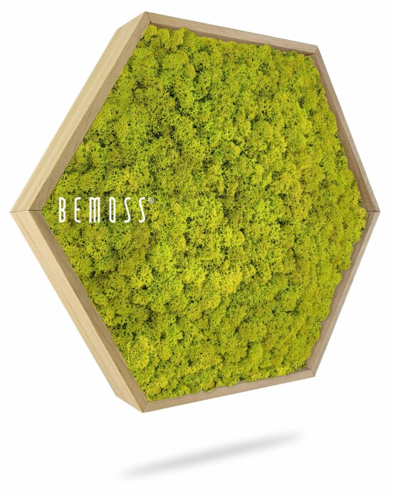 Cadre hexagonal en bois rempli de mousse préservée vert vif. L'arrangement, marqué « BEMOSS » sur le côté gauche, est conçu pour être fixé au mur comme une pièce de décor naturel, servant de magnifique tableau de mousse.