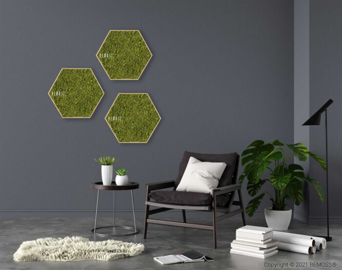 Un salon moderne aux murs gris foncé comportant trois murs en mousse hexagonaux. Un fauteuil noir avec des coussins blancs se trouve à côté d’une petite table ronde contenant des plantes en pot. Une grande plante feuillue est posée sur le sol à côté de la chaise.