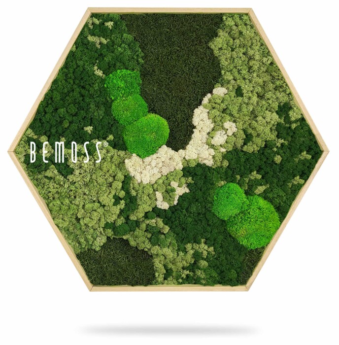 Un cadre en bois hexagonal présente un assortiment vibrant de mousse verte, blanche et vert foncé. Le texte « BEMOSS » apparaît sur le côté gauche. Différentes textures et nuances de mousse créent un motif luxuriant et naturel dans le cadre, illustrant de magnifiques murs végétaux.