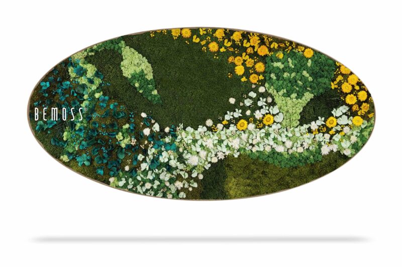 Tableau de mousse Ellipse PLANTES Acre