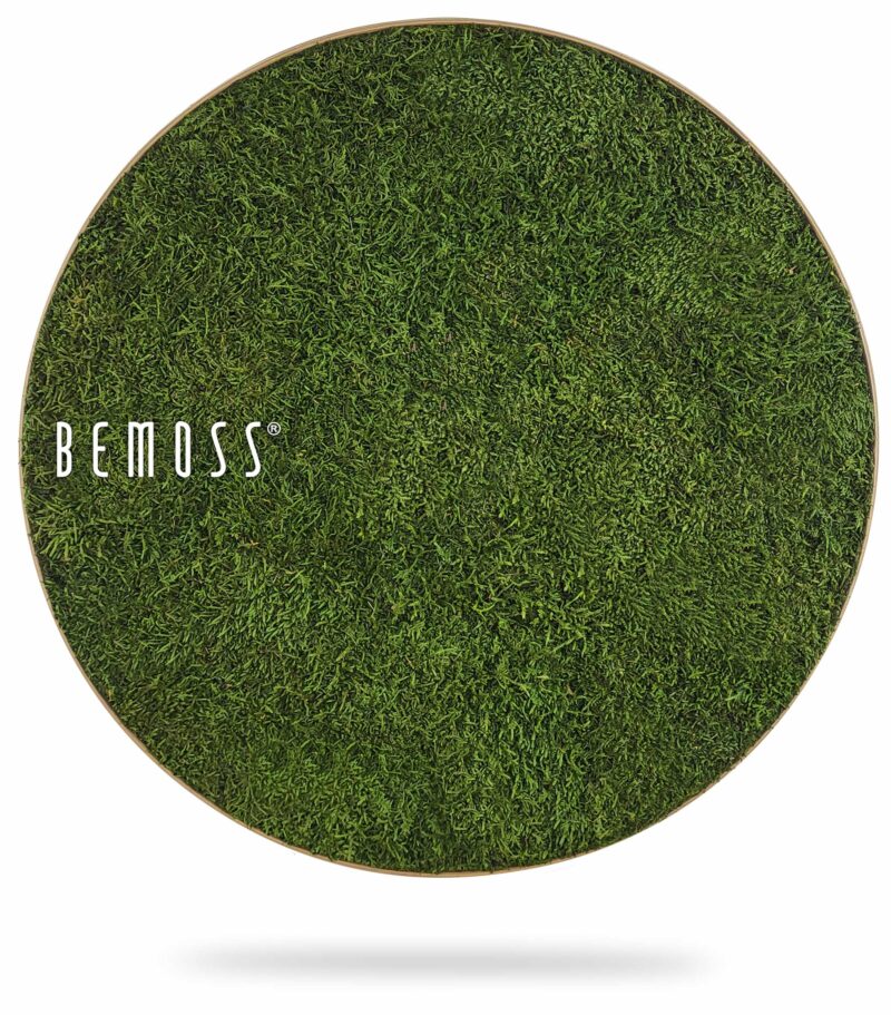 Tableau de mousse rond FLATMOSS