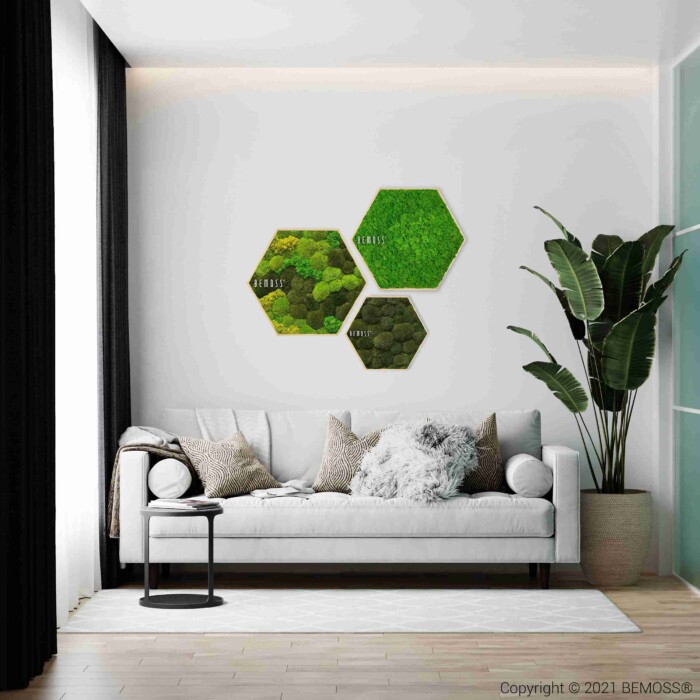 Un salon moderne est doté d'un canapé blanc avec des coussins texturés gris et d'une petite table basse ronde noire. Au-dessus sont suspendus trois tableaux de mousse Ellipse BOLMOSS Natural d'un vert luxuriant. À droite, une grande plante en pot se dresse contre un mur gris clair.