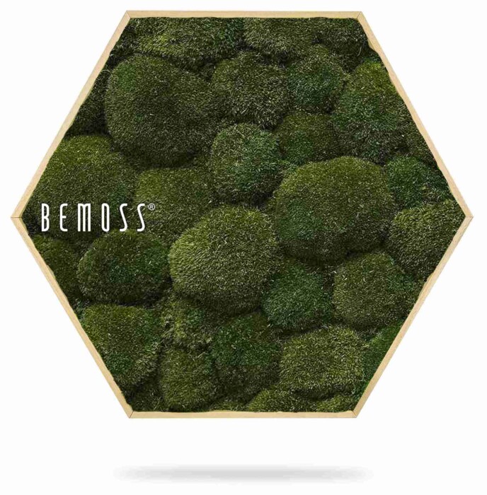 Le Tableau de mousse Ellipse BOLMOSS Naturel présente un cadre hexagonal en bois garni de mousse verte préservée luxuriante, offrant un aspect texturé et naturel. Le nom de la marque « BEMOSS » est imprimé en blanc dans le coin supérieur gauche du cadre.