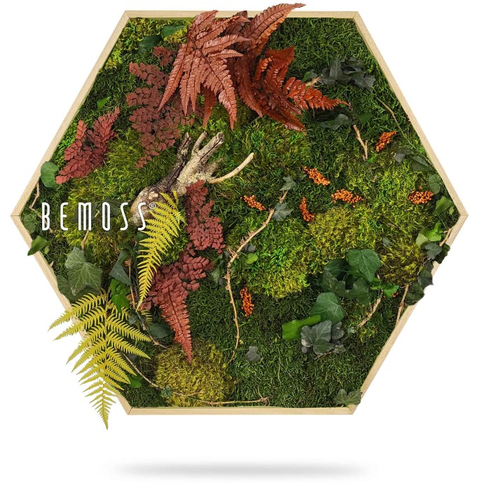 Art mural hexagonal présentant un mélange vibrant de mousses préservées, de fougères rouges et jaunes et de feuilles de lierre vert disposées artistiquement dans un cadre en bois, créant une apparence naturelle et texturée. Le mot 
