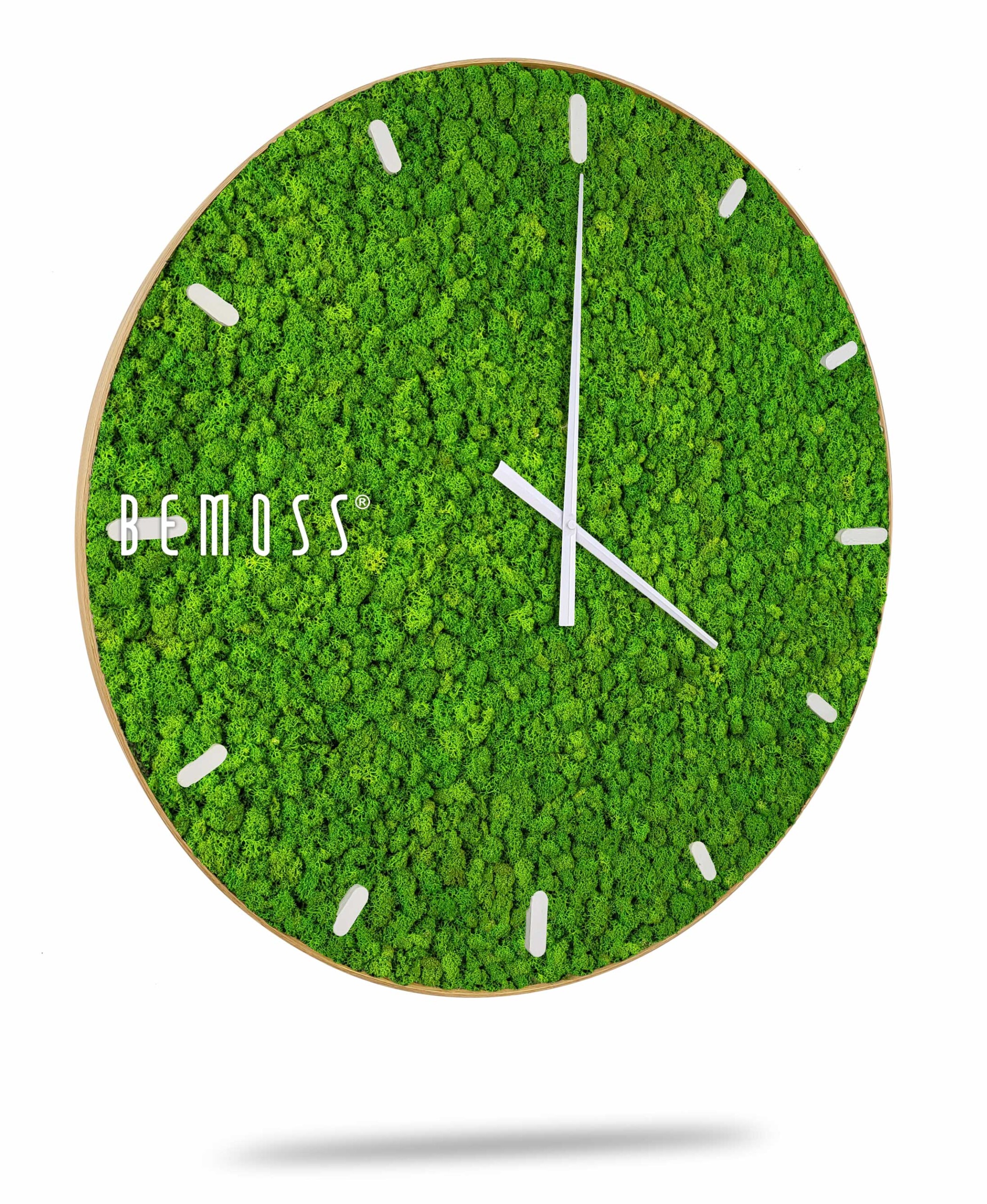 Horloge de mousse en mousse de RENNE avec cadran