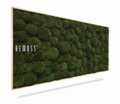 Le Tableau de mousse Ellipse BOLMOSS Naturel présente de la mousse verte texturée en grappes arrondies, encadrées par une fine bordure en bois, avec "BEMOSS" imprimé sur le côté gauche.