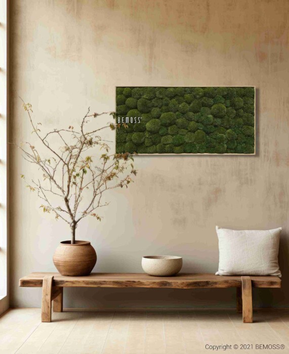 Le Tableau de mousse Ellipse BOLMOSS Natural, un panneau rectangulaire en mousse verte stabilisée, est accroché à un mur beige. En dessous, un banc en bois accueille une plante en pot aux branches fines et un coussin, créant une ambiance minimaliste et sereine.