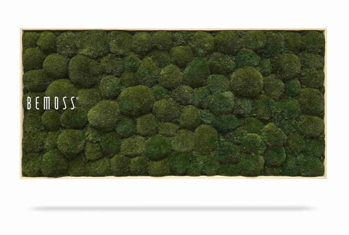 Le Tableau de mousse Ellipse BOLMOSS Naturel présente un cadre rectangulaire orné de touffes de mousse verte naturelle texturée. Le mot « BEMOSS » est inscrit sur le côté gauche du cadre.