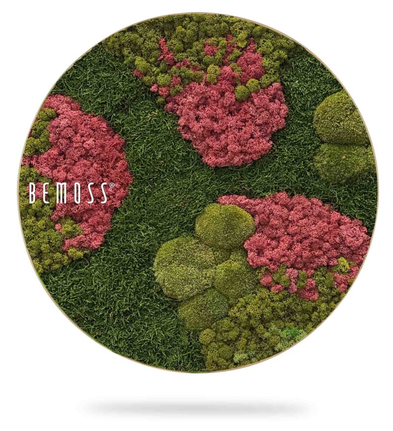 Tableau de mousse rond BEMOSS® ORTHO BURGUNDY