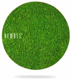 Une pièce de décoration murale ronde en mousse préservée d'un vert vif, étiquetée "Tableau de mousse rond BEMOSS® ORTHO TORRES" sur le côté gauche. La texture vert vif contraste avec le fond blanc épuré, lui donnant un aspect frais et naturel. Ce tableau de mousse unique ajoute une touche de nature à votre espace.