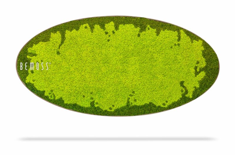 Tableau de mousse Ellipse BEMOSS® MARE