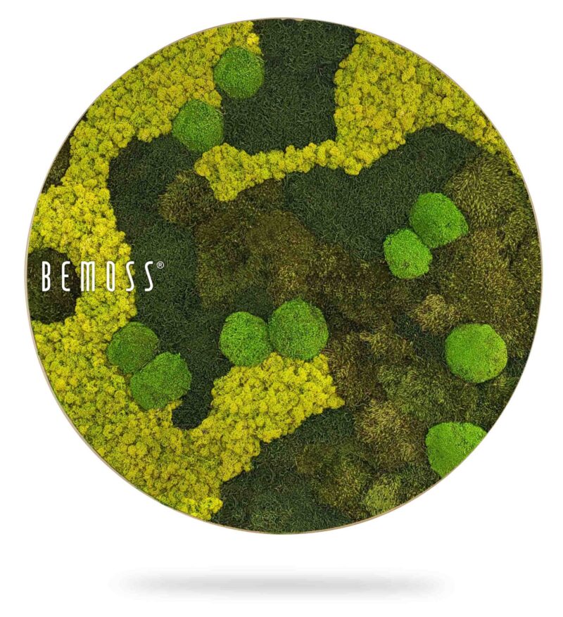 Tableau de mousse rond BEMOSS® ORTHO BORJA mono