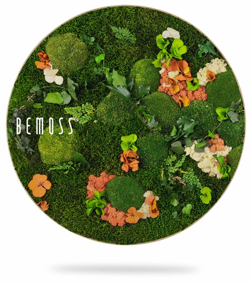 Tableau de mousse rond PLANTES Mesia Mango