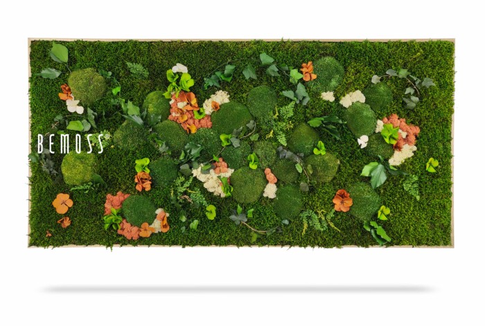 Un cadre rectangulaire présente un arrangement de mousse et de plantes vertes vibrantes, accentué par des fleurs orange et blanches. Le mot « BEMOSS » est écrit en blanc dans le coin supérieur gauche. Ce Tableau de mousse PLANTES Mesia Mango crée une œuvre d'art naturelle luxuriante et vivante sur un fond blanc.