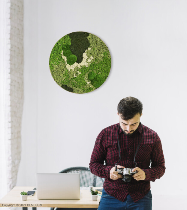 Un homme barbu, vêtu d’une chemise à carreaux rouge et noire, se tient dans une pièce minimaliste au mur blanc. Il tient un appareil photo et le regarde. Derrière lui se trouvent un bureau en bois et une chaise coussinée. Un Tableau de mousse rond BEMOSS® ORTHO GREEN décore le fond.