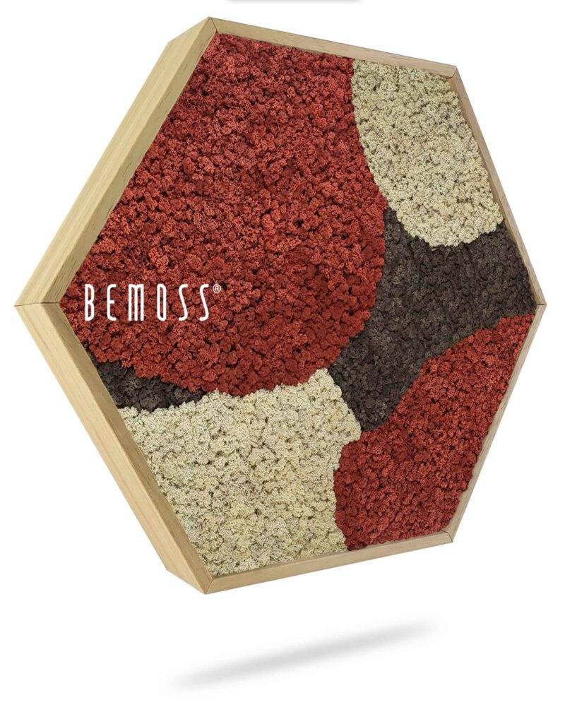 Hexagone de Mousse BEMOSS® ORTHO SIENNA