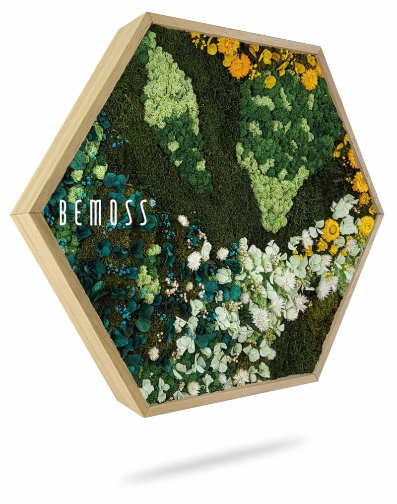 Hexagone de mousse PLANTES Arce