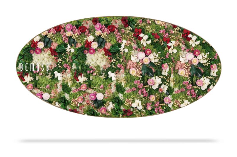 Tableau de mousse Ellipse PLANTES Huelma