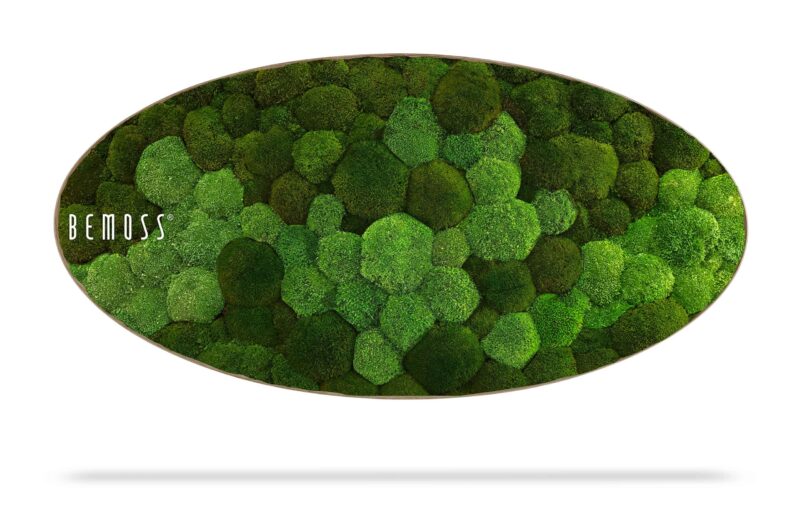 Tableau de mousse Ellipse BOLMOSS DUO Natural Green