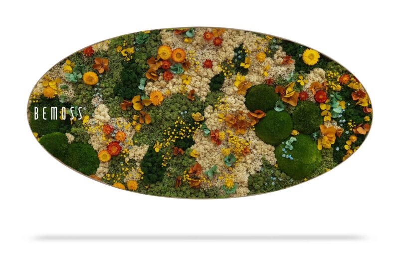Tableau de mousse Ellipse PLANTES Cadalso