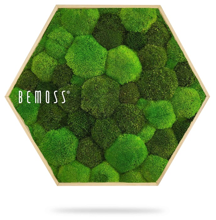 Un cadre hexagonal rempli de différentes nuances de mousse verte, disposé en nid d'abeille. Le mot 