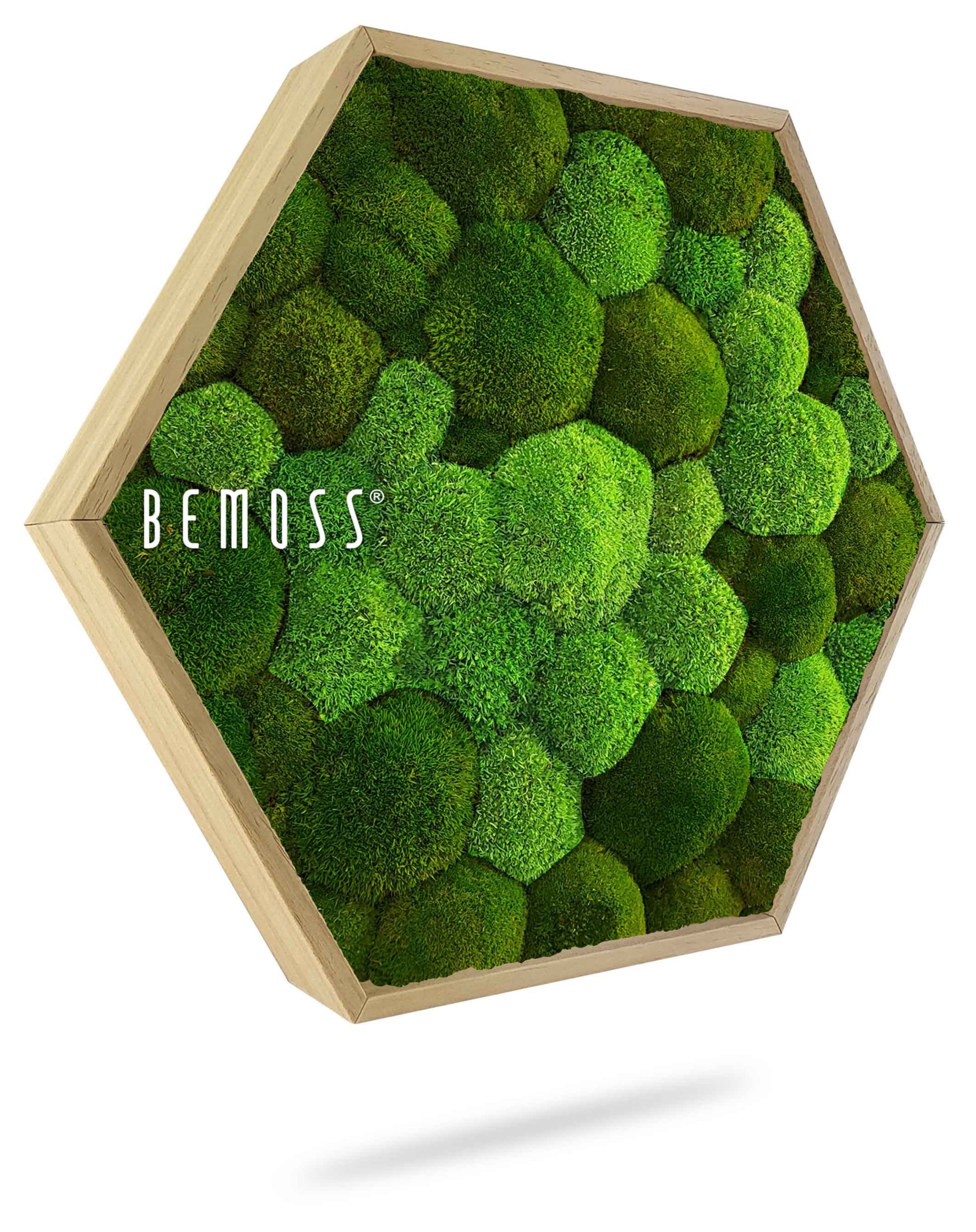 Hexagone de mousse BOLMOSS DUO Natural Green