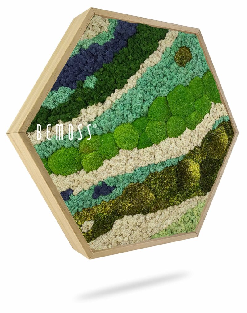 Hexagone de Mousse BEMOSS® ORTHO SWIRL