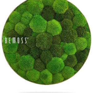 okrúhla zelená machová rastlina s nápisom byť machom s bielym písmom na bielom pozadí s bielym pozadím, environmentálne umenie , machovy obraz, stabilizovany mach, machová stena, machová dekorácia